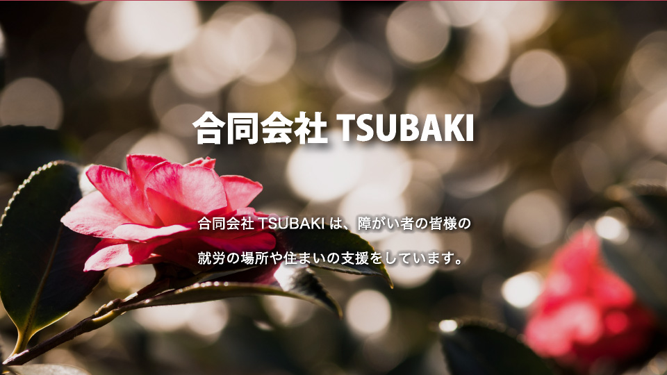 合同会社TSUBAKI